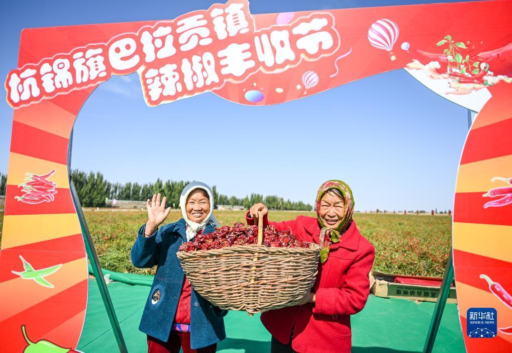 娱乐电子游戏平台网址